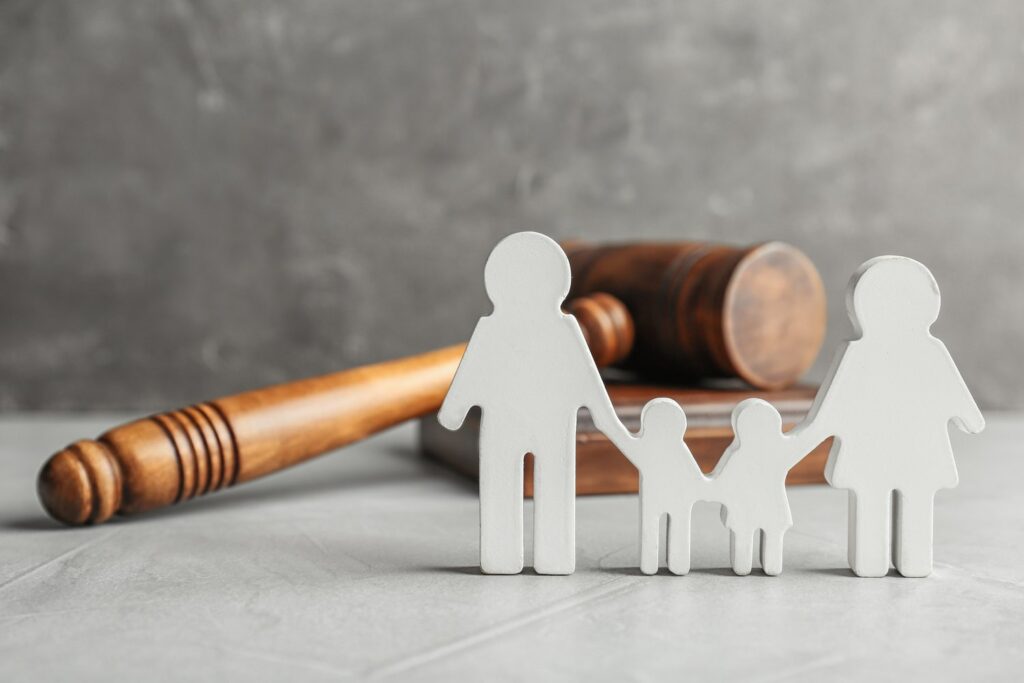 Family Lawyer